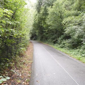 Piste cyclable photoluminescente LuminoKrom – OliKrom©