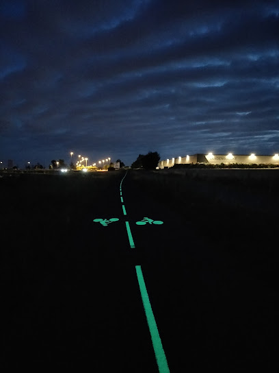 Marquage LuminoKrom piste cyclable Lille de nuit