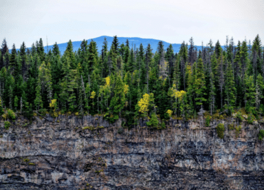 Green Trees Near Gray Cliff during Daytime