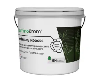 Pot peinture décorative couleur blanc