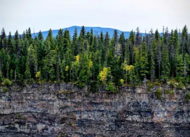 Réserve naturelle de foret